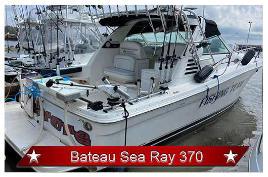 Bateau Sea Ray 370